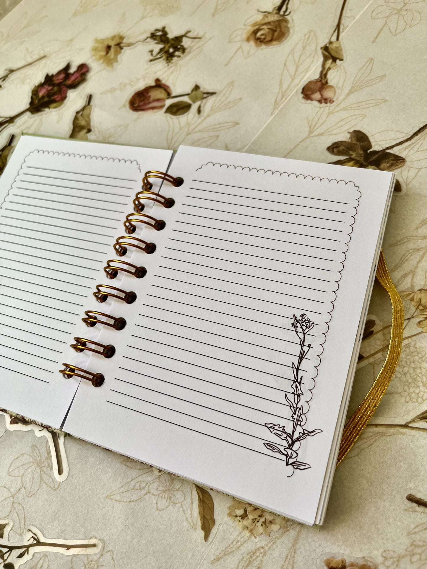 Agenda Ni tan Chica 2025 (sin fechas)