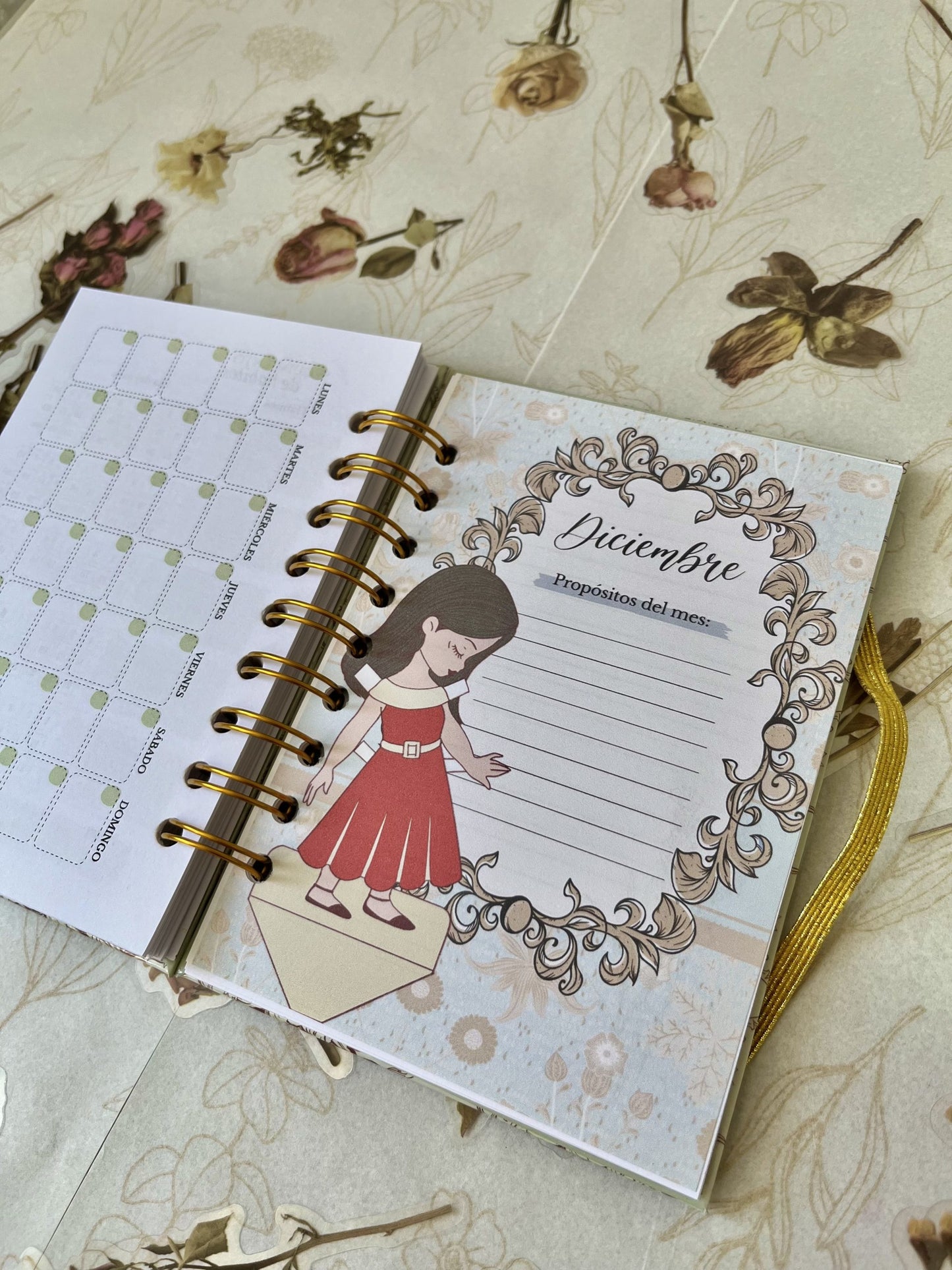 Agenda Ni tan Chica 2025 (sin fechas)