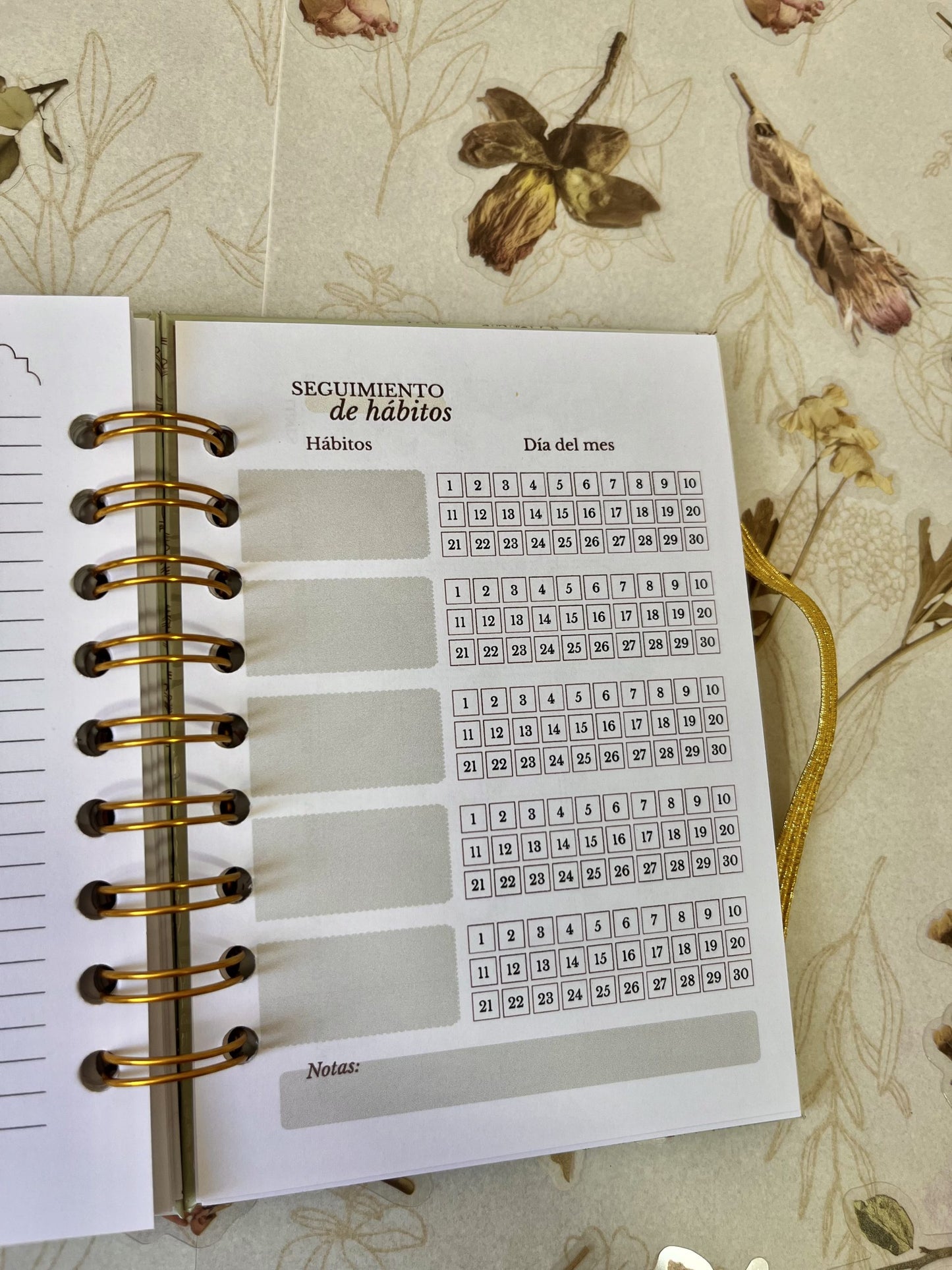 Agenda Ni tan Chica 2025 (sin fechas)