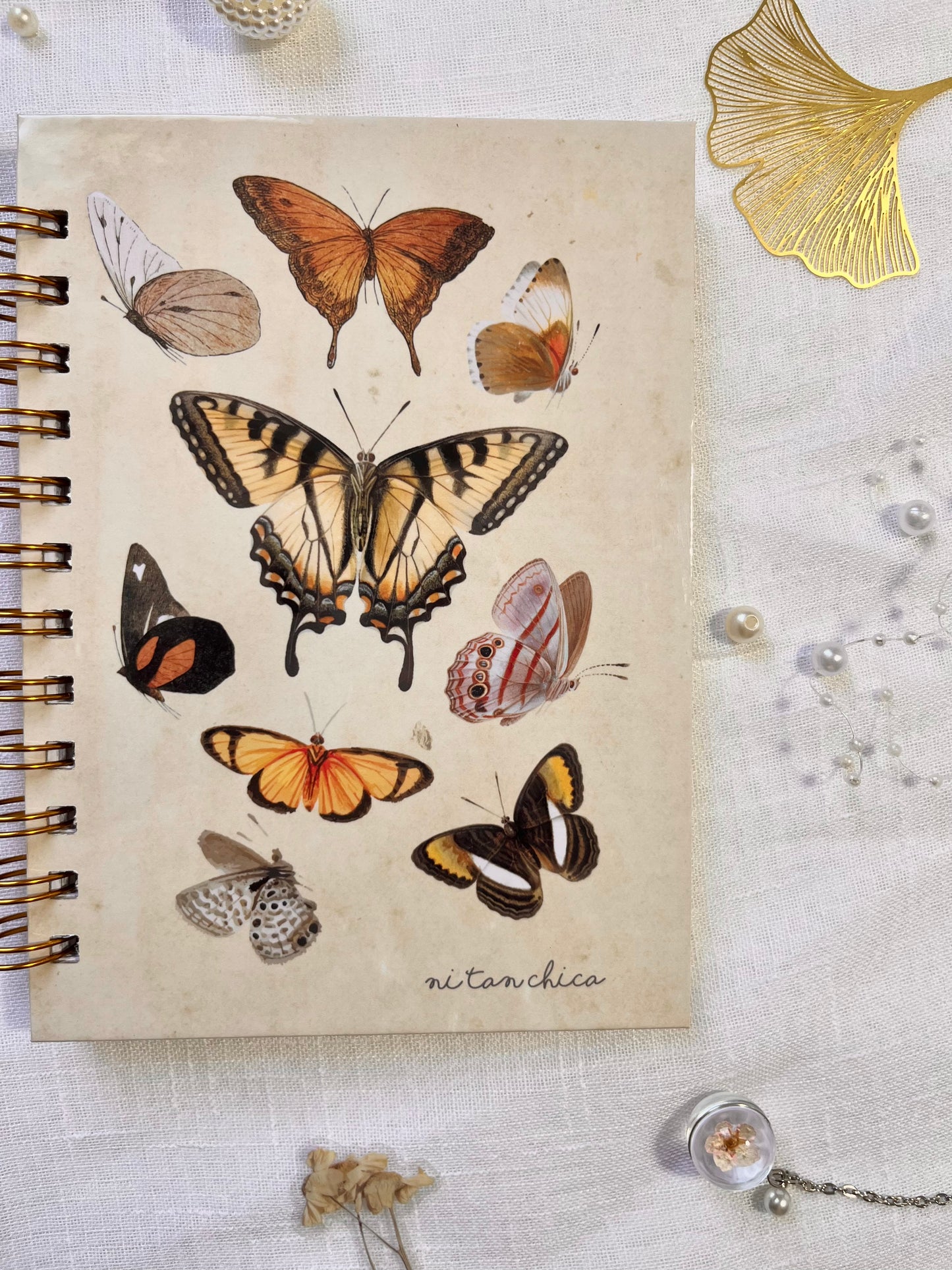 Cuaderno Dorothy maripositas