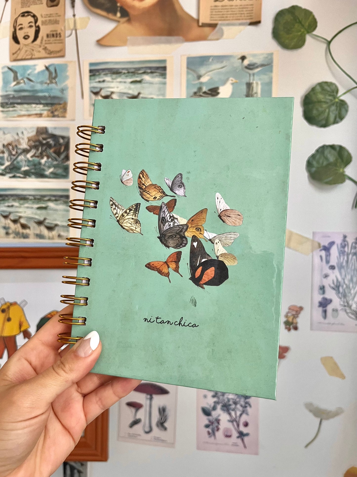 Cuaderno Mary maripositas