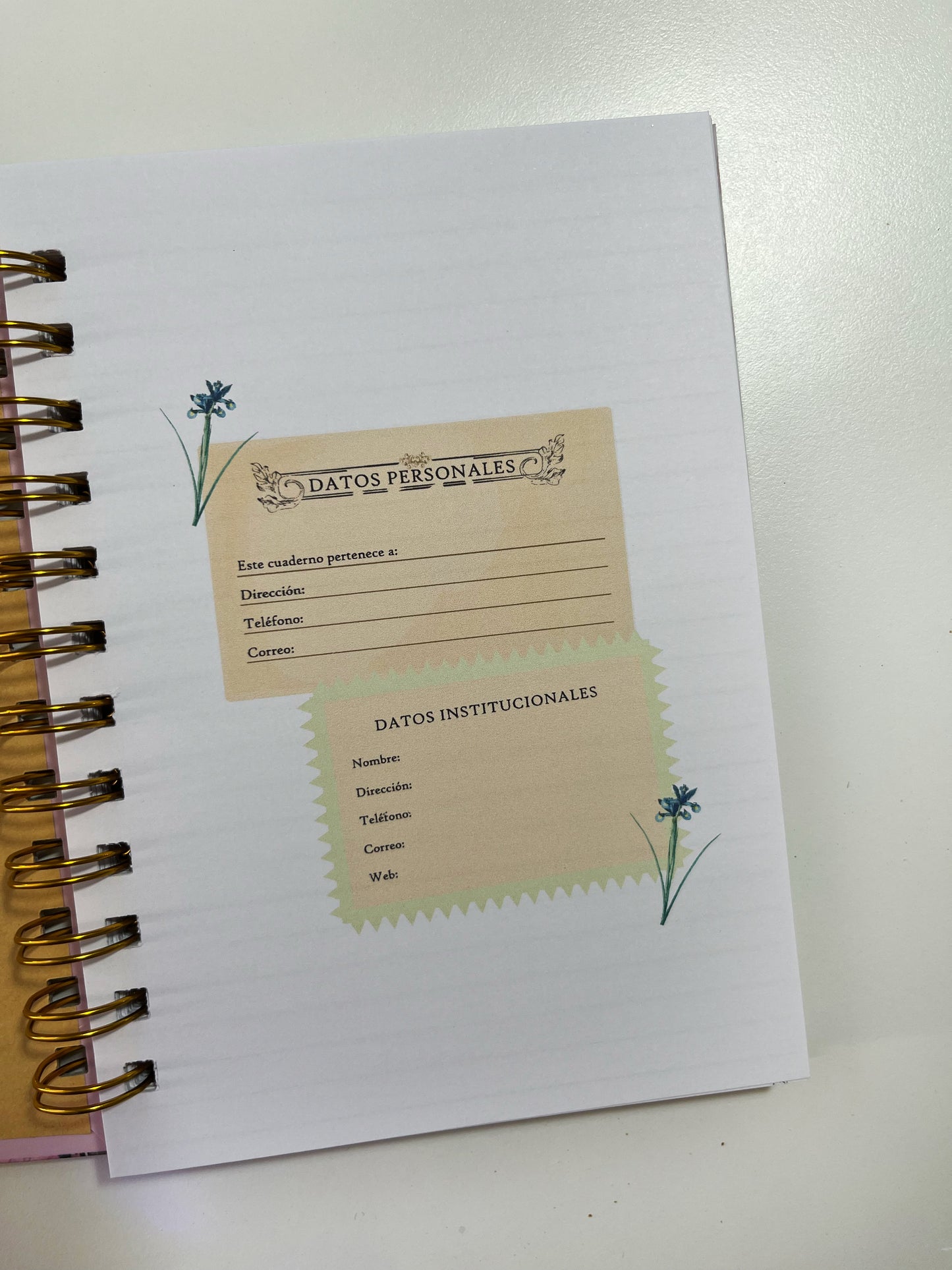 Cuaderno Coquette Girly