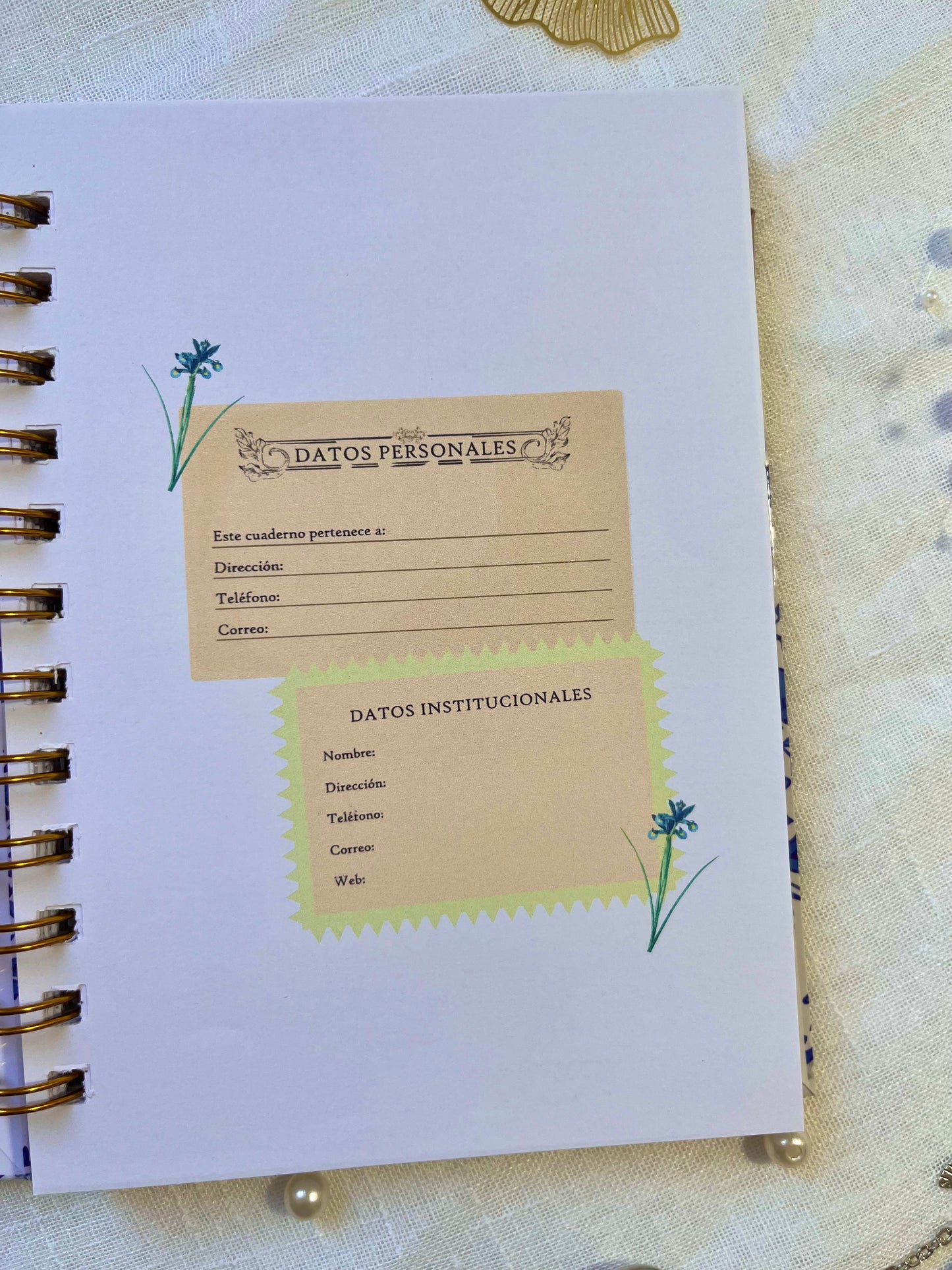 Cuaderno Dorothy maripositas