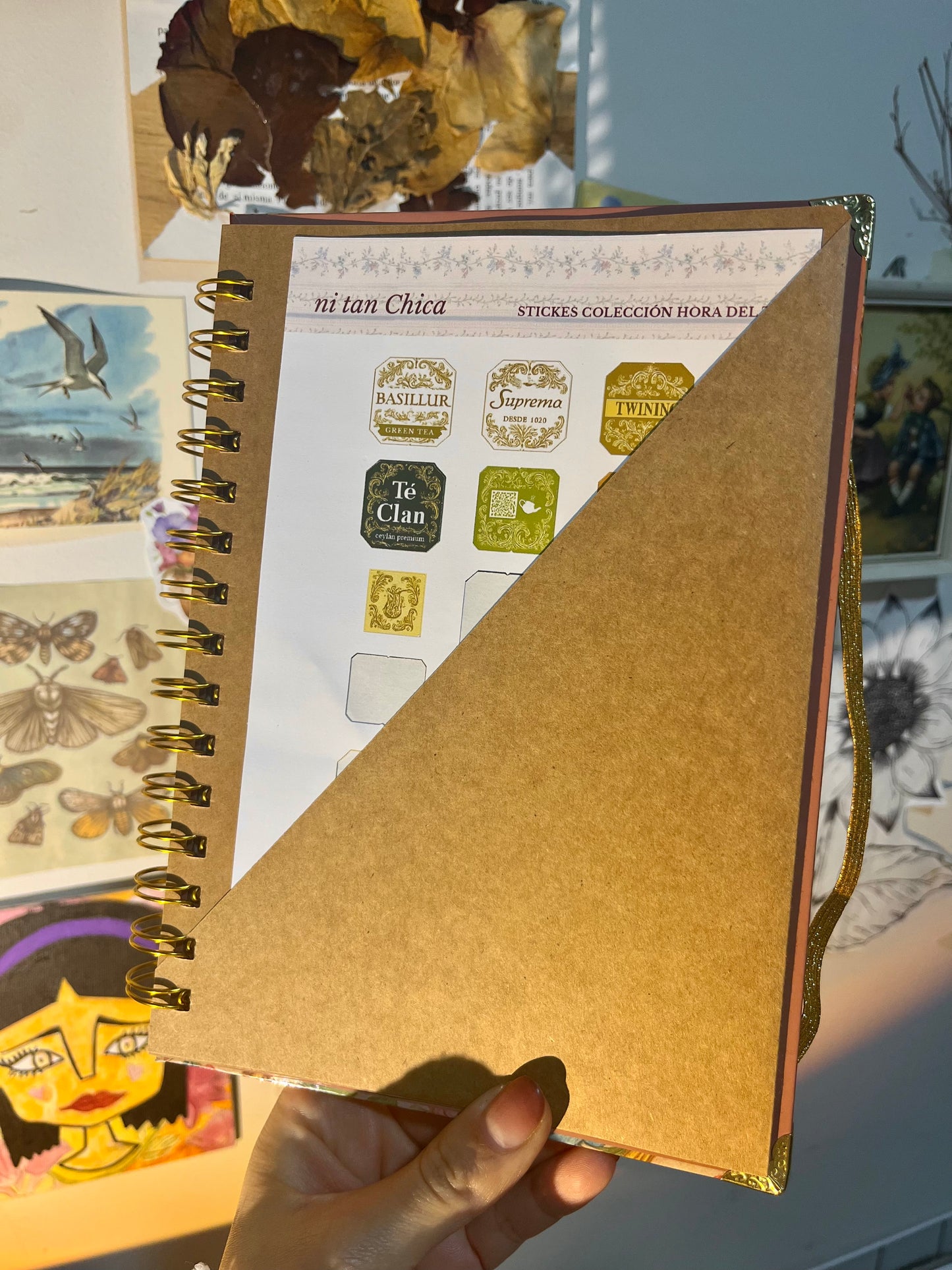 Libro Mi colección de Stickers (rosado)