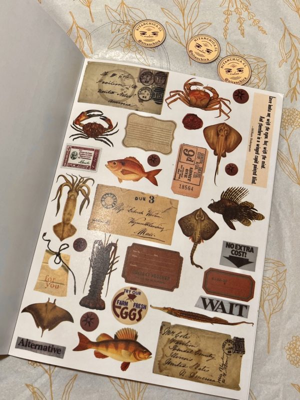 Libro de Stickers Grande Vintage Collection Timeless
