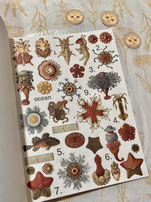 Libro de Stickers Grande Vintage Collection Timeless