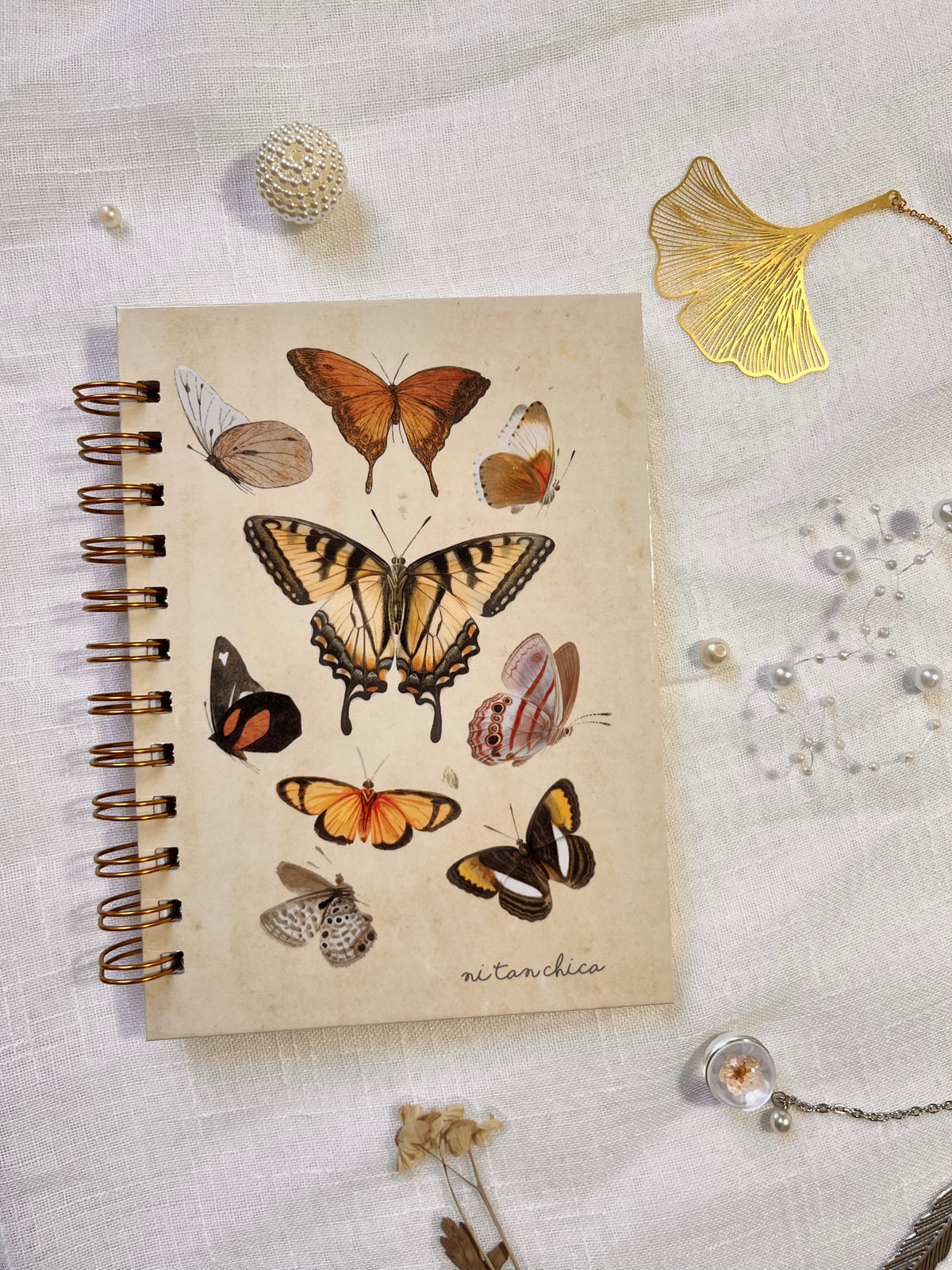 Cuaderno Dorothy maripositas - líneas