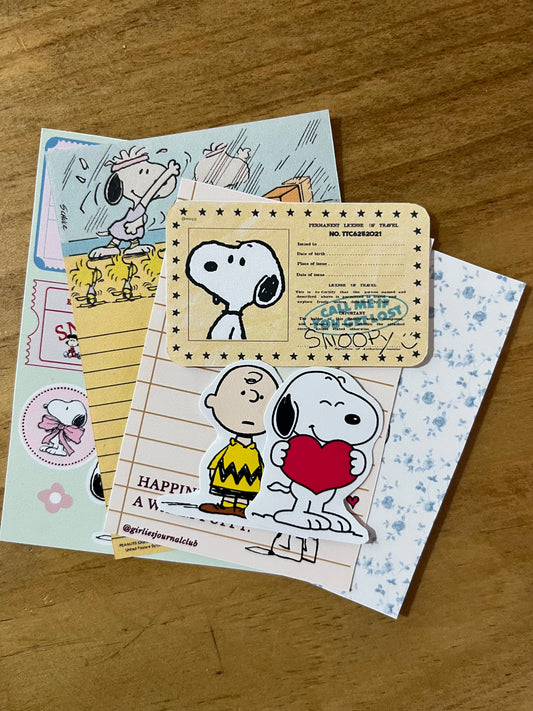 Set de mini journal – Colección Snoopy