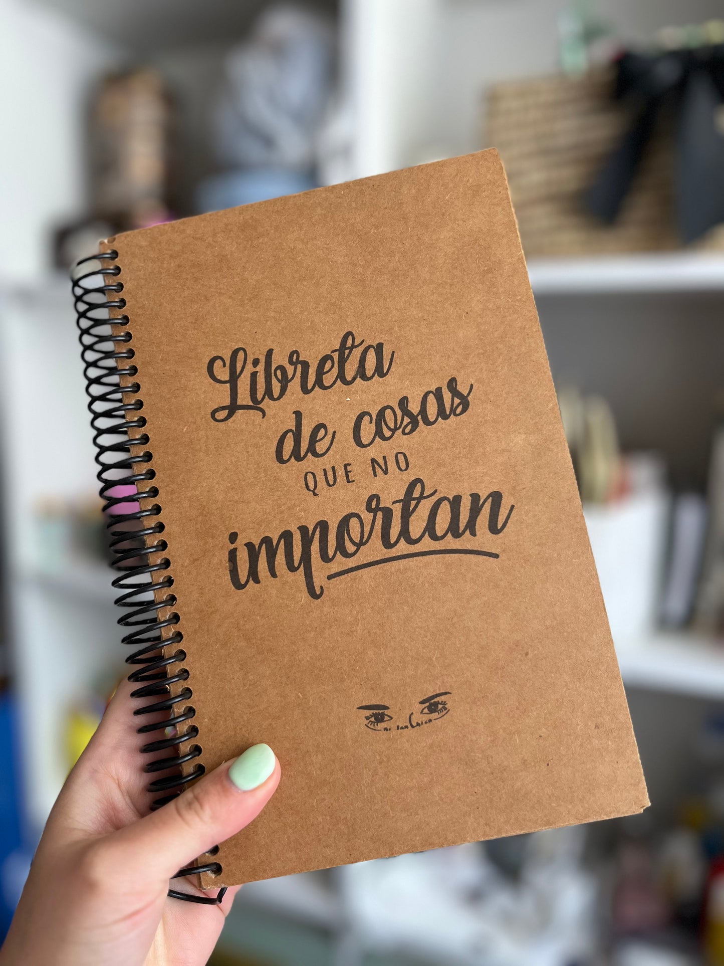 Libreta de cosas que no importan (Ni tan Chica old)